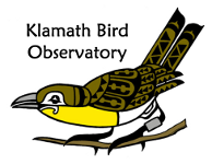 Klamath Bird Observatory