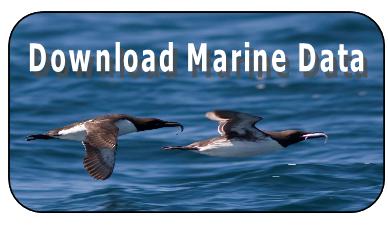 Marine Data Page