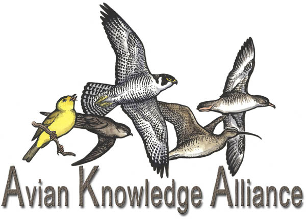 Avian Knowledge Alliance