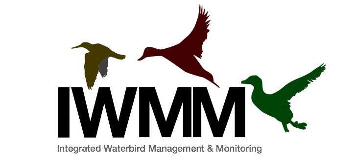 IWMM Logo